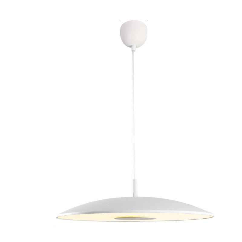 Żelazne lampy wiszące LED