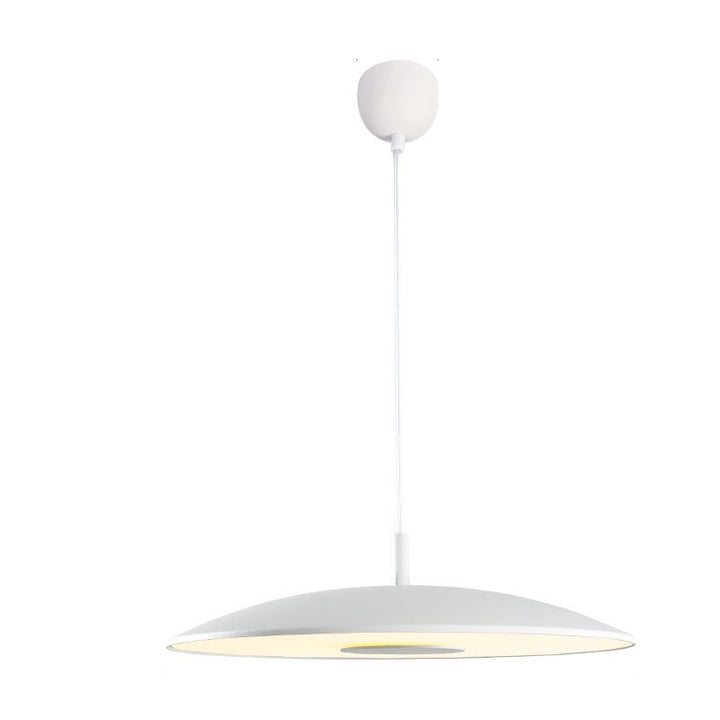 Żelazne lampy wiszące LED